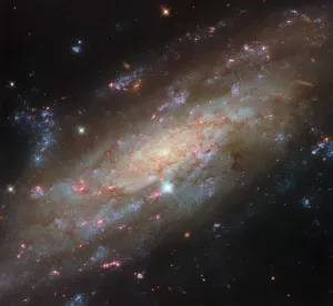 2026年5月1日：ハッブルが星々の渦巻銀河NGC 3137を撮影 - 米国航空宇宙局(NASA)のRSS等の記事画像