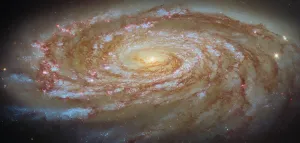 2026年5月29日:NASA・ハッブル宇宙望遠鏡がM88銀河を撮影 - 米国航空宇宙局(NASA)のRSS等の記事画像