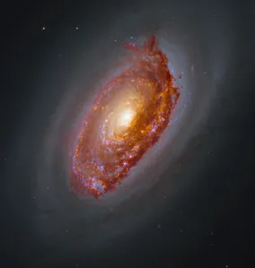 2026年3月20日:NASAが謎のブラックアイ銀河の鮮明画像公開 - 米国航空宇宙局(NASA)のRSS等の記事画像