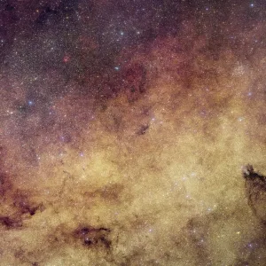 2026年6月24日:Euclidが撮影、銀河中心部の神秘的な姿 - 米国航空宇宙局(NASA)のRSS等の記事画像