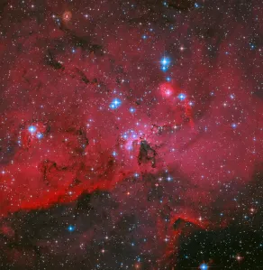 2026年7月3日:ハッブルが大マゼラン雲の星々の群れを撮影 - 米国航空宇宙局(NASA)のRSS等の記事画像
