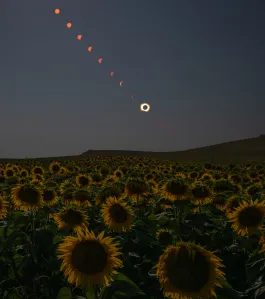 2026年8月12日：NASAがスペインで撮影した日全食の様子 - 米国航空宇宙局(NASA)のRSS等の記事画像