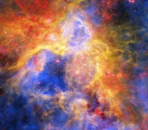 2026年8月11日：NASAがタランチュラ星雲の鮮やかな新画像公開 - 米国航空宇宙局(NASA)のRSS等の記事画像