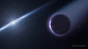 2026年10月5日：NASAがハッブルデータで謎の惑星を発見 - 米国航空宇宙局(NASA)のRSS等の記事画像